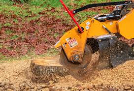 Best Emergency Tree Removal  in Wesley Chapel, NC